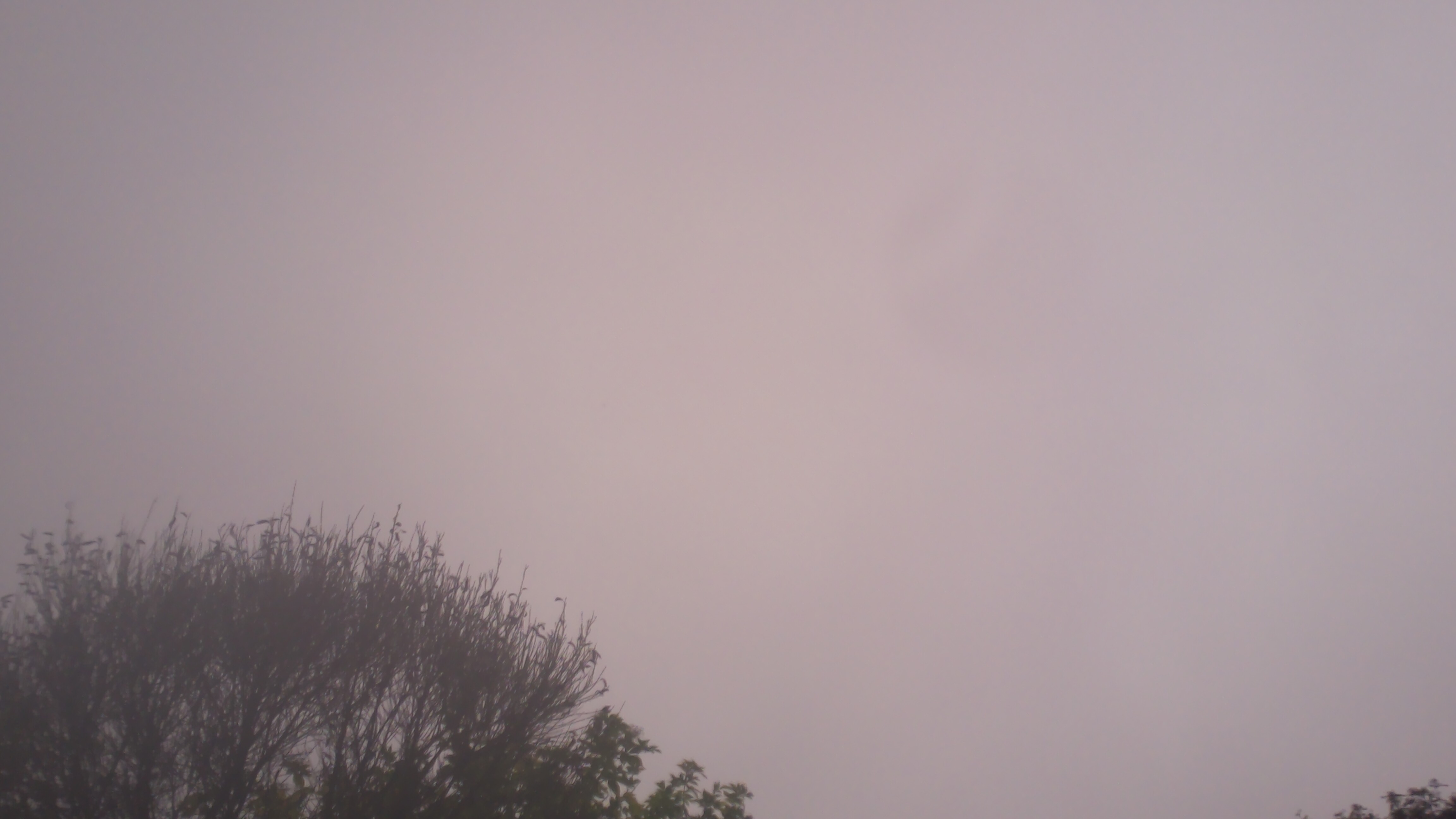 Photo of Lochearn on 10/4/2026
